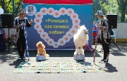 IMG_0059.jpg