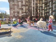 IMG_20200815_170917.jpg