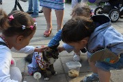 IMG_6007.jpg