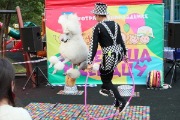 IMG_8469.jpg