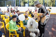 IMG_7377.jpg