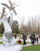 IMG_4724.jpg