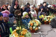 DSC04739.jpg