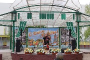 IMG_7711.jpg