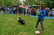 dogarea-otradnoe_106.JPG