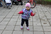 IMG_7995.jpg