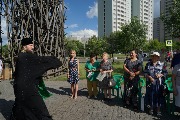DSC08774.jpg