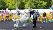 IMG_4309.jpg
