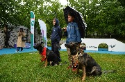 dogarea-otradnoe_157.JPG