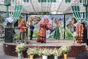 IMG_6252.jpg