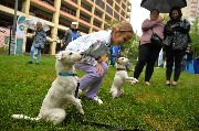 dogarea-otradnoe_156.JPG