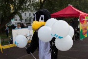 IMG_0061.jpg