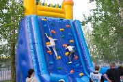IMG_9581.jpg