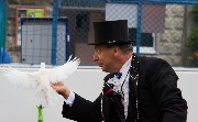 IMG_1427.JPG