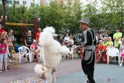 IMG_9420.jpg