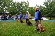 dogarea-otradnoe_041.JPG