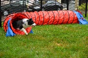 dogarea-otradnoe_085.JPG