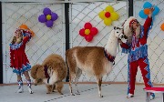 IMG_2410.JPG