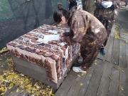 IMG_20201001_173930.jpg