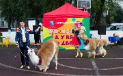 IMG_0002.jpg