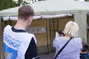 IMG_9545.jpg