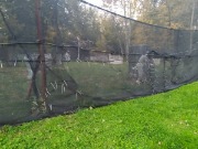 IMG_20201001_180439.jpg