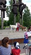 IMG-20180531-WA0019.jpg