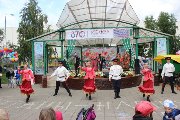 IMG_8449.jpg