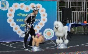 IMG_2327.jpg