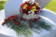 IMG_8798.JPG