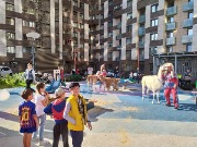 IMG_20200815_170822.jpg