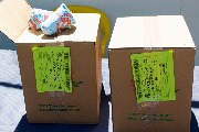IMG_6378.JPG