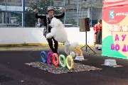 IMG_9738.jpg