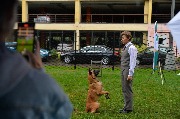 dogarea-otradnoe_176.JPG