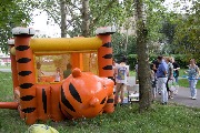 IMG_2888.jpg