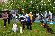 dogarea-otradnoe_155.JPG