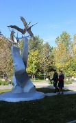 IMG_8822.jpg