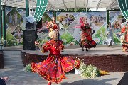 IMG_6284.jpg