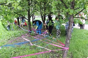 IMG_7929.jpg