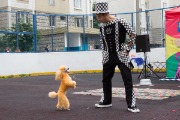IMG_6636.jpg