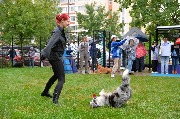 dogarea-otradnoe_175.JPG