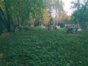 IMG_20201001_180221.jpg