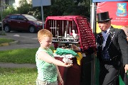 IMG_2674.JPG