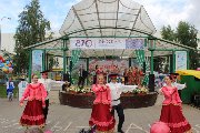 IMG_8445.jpg