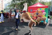 IMG_8230_resize.jpg