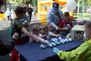 IMG_7262.jpg