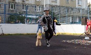 IMG_9710.jpg