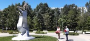 20200622_121115.jpg