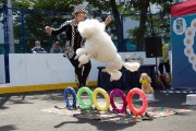 IMG_3980.jpg