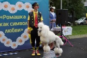 IMG_2943.jpg
